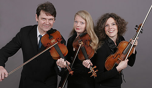 Foto Ensemble Elbviolinen Foto Ensemble Elbviolinen